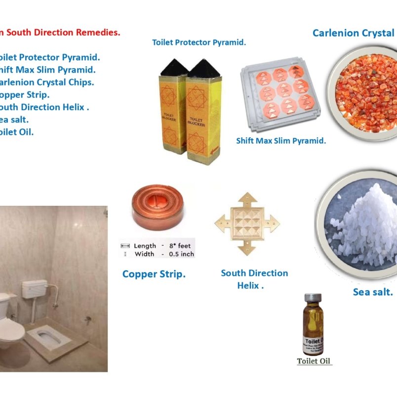 Toilet in South Direction Remedies