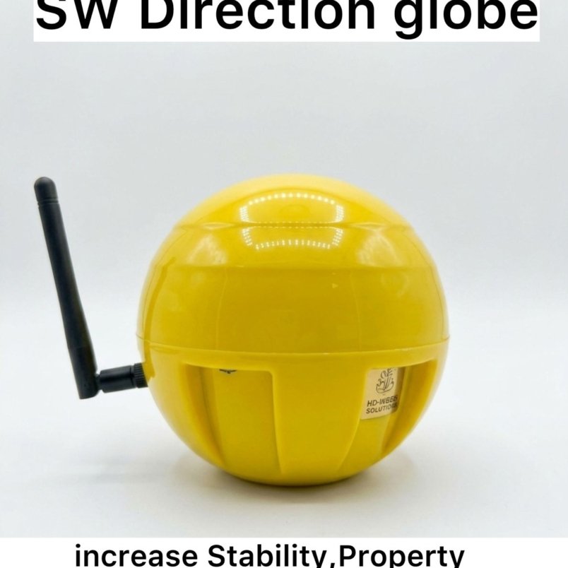 SW (South-West) Direction Globe